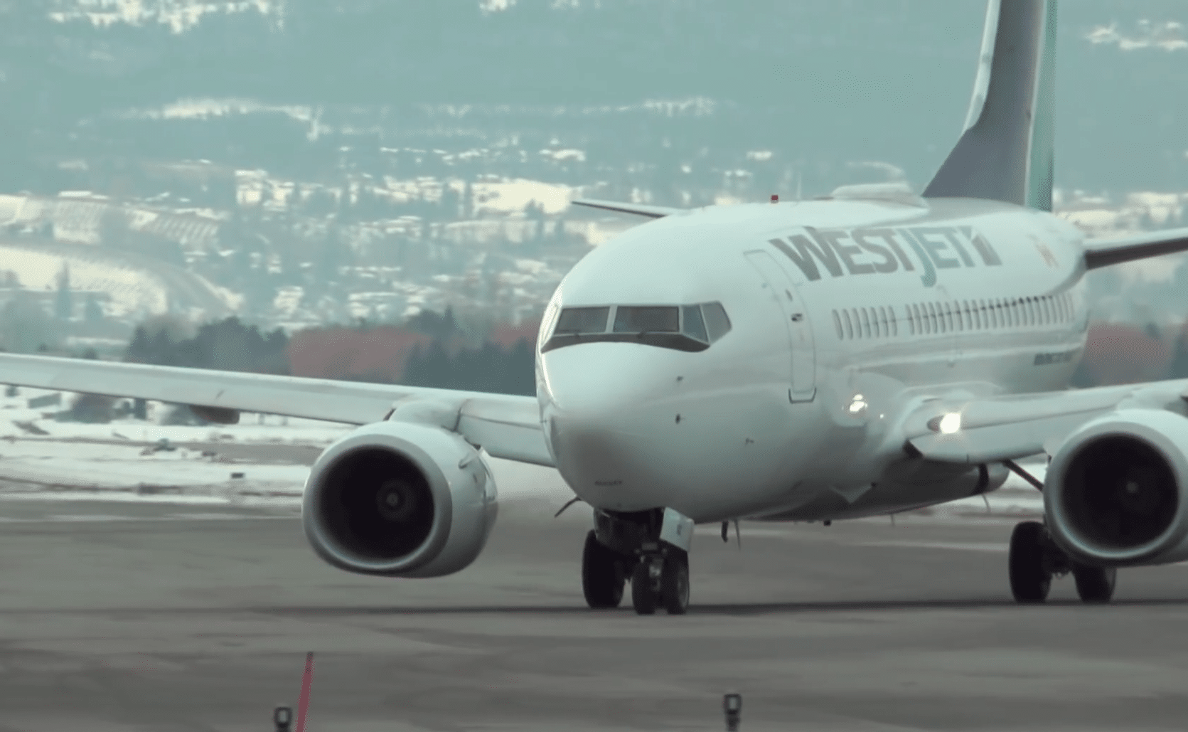 westjet 737 from front 2